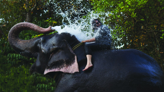 Xandari Cardamom County - places to visit - thekkady