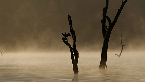 Xandari Cardamom County - places to visit - thekkady