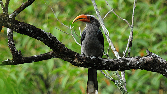 Xandari Cardamom County - places to visit - thekkady