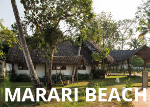 Kerala thatch roof in modern resort architecture at Xandari Marari