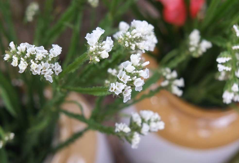 decor flowers for wedding at xandari pearl, marari beach